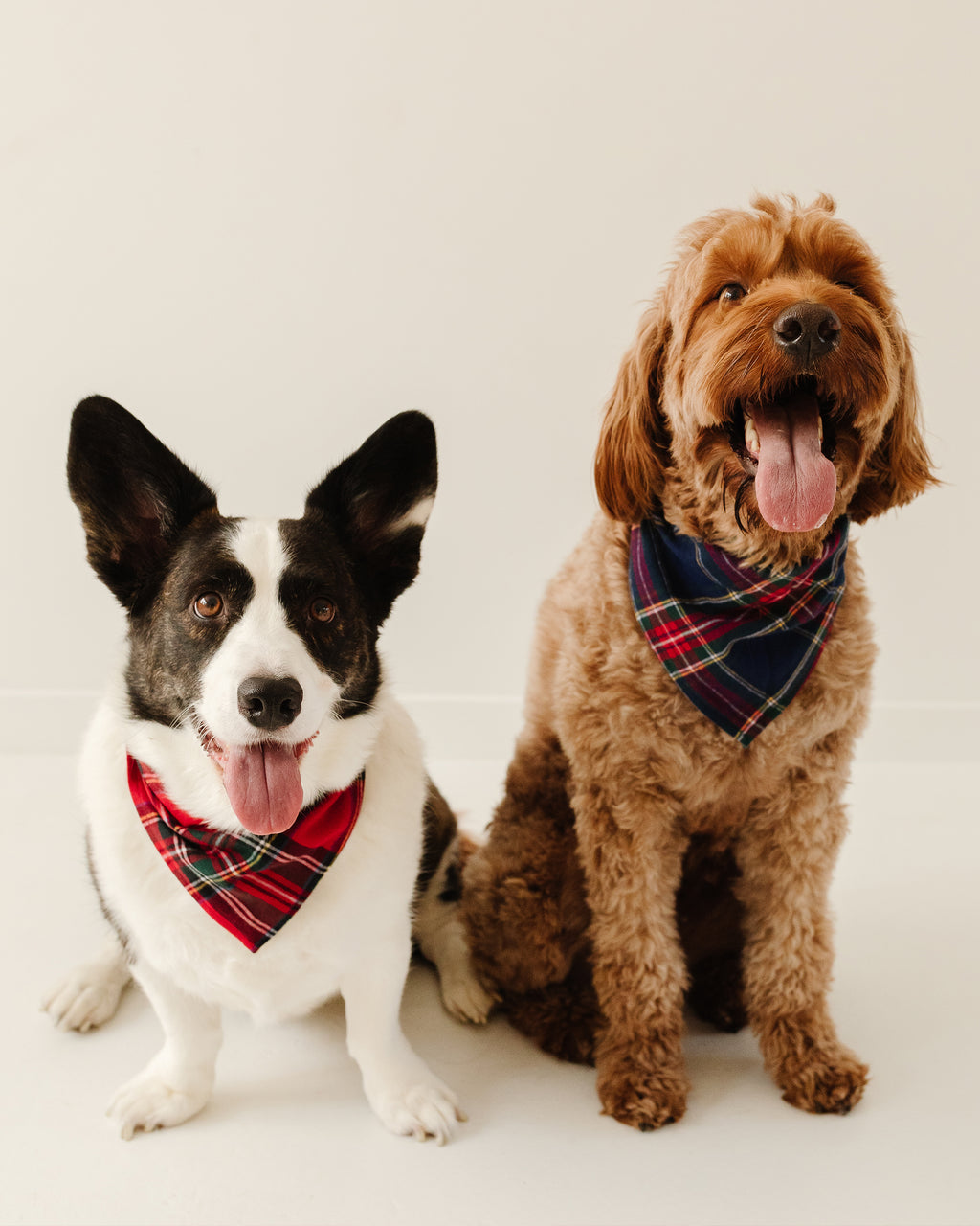 Green Gingham Dog Bandana