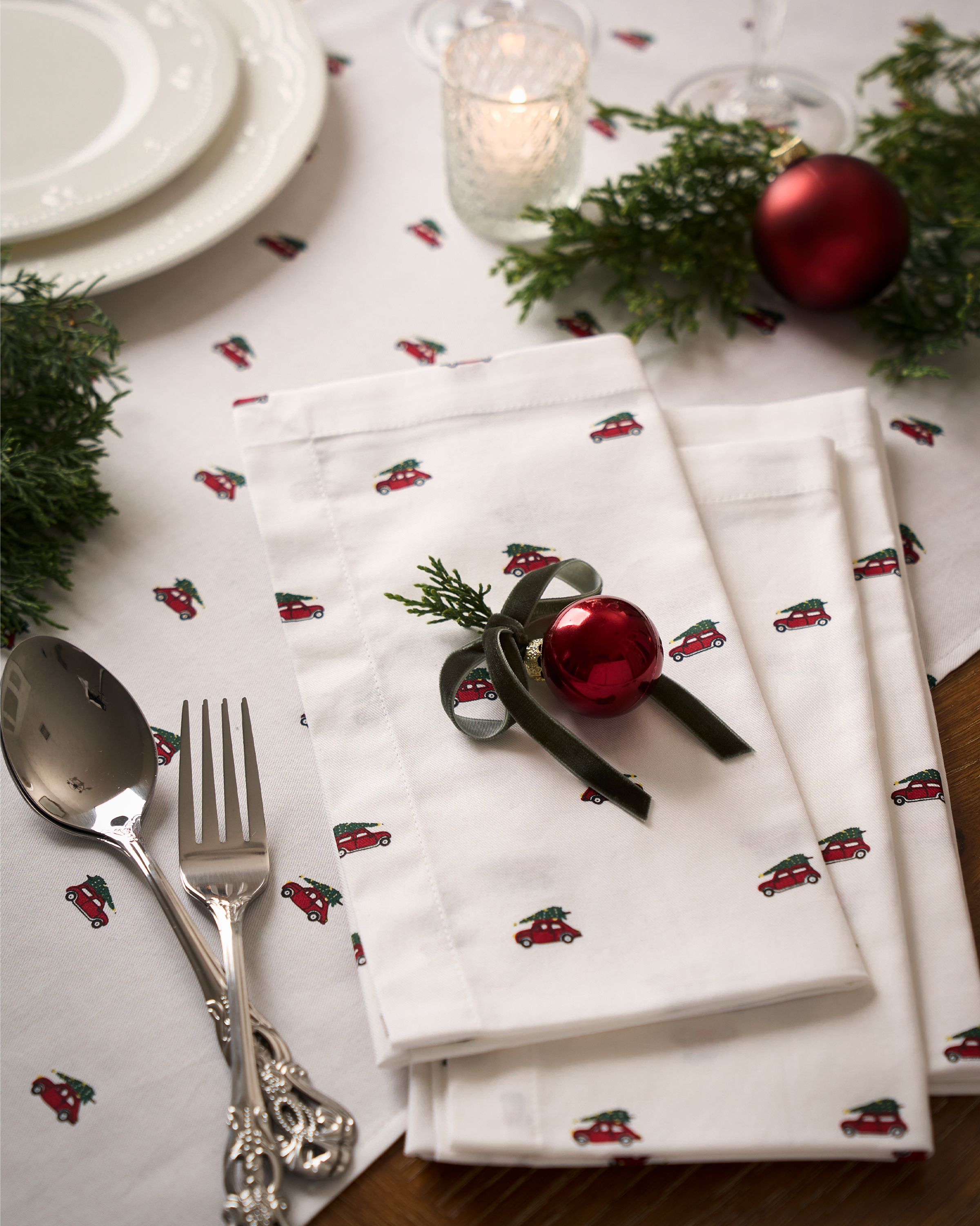 Signature Twill Napkins in Holiday Journey